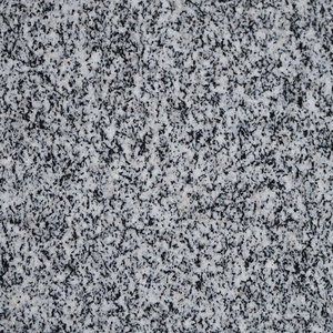 L N 603  POLISH