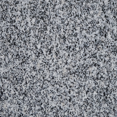 L N 603 &nbsp;POLISH