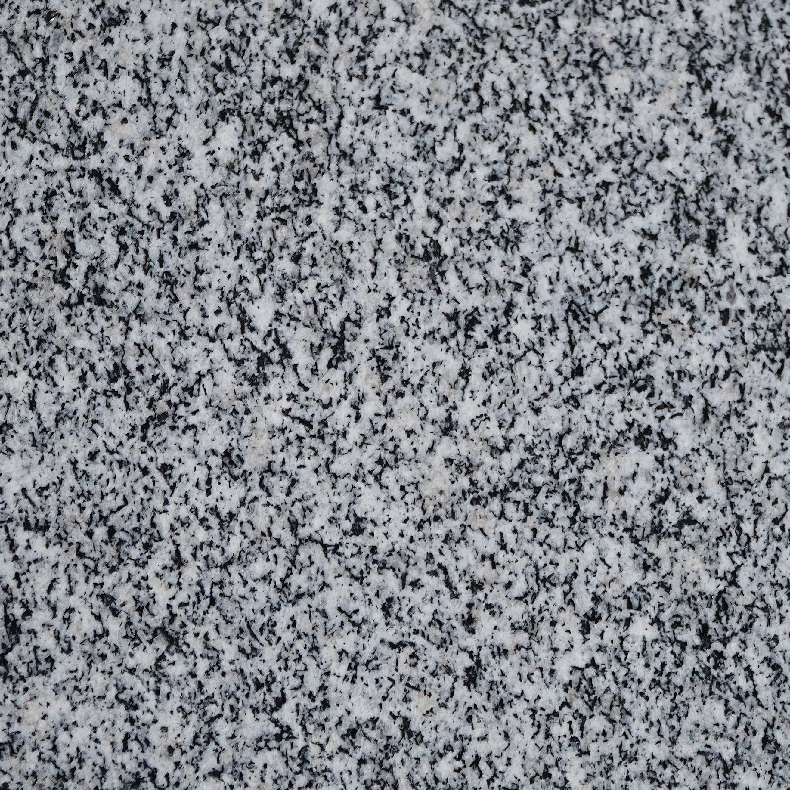 L N 603  POLISH